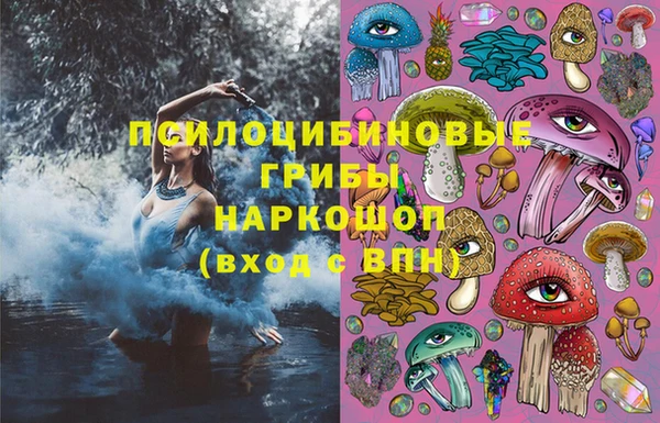 прущий лед Богданович