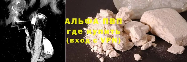 прущий лед Богданович