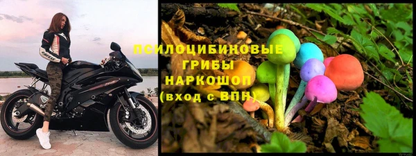 прущий лед Богданович