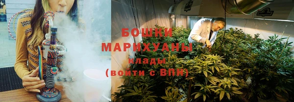 шишки Белоозёрский
